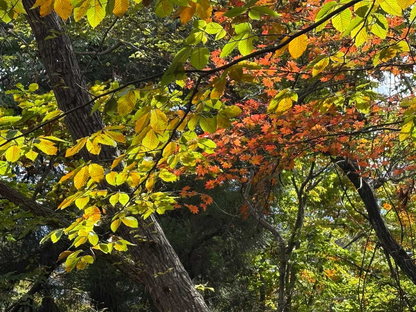 良き良き❤️