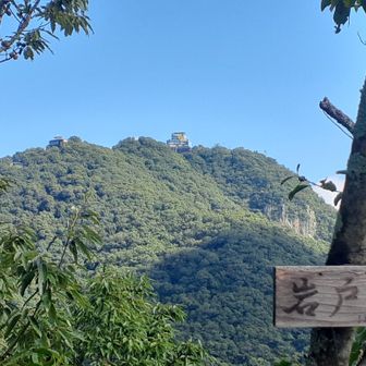 岩戸山山頂から！岐阜城の後ろ姿