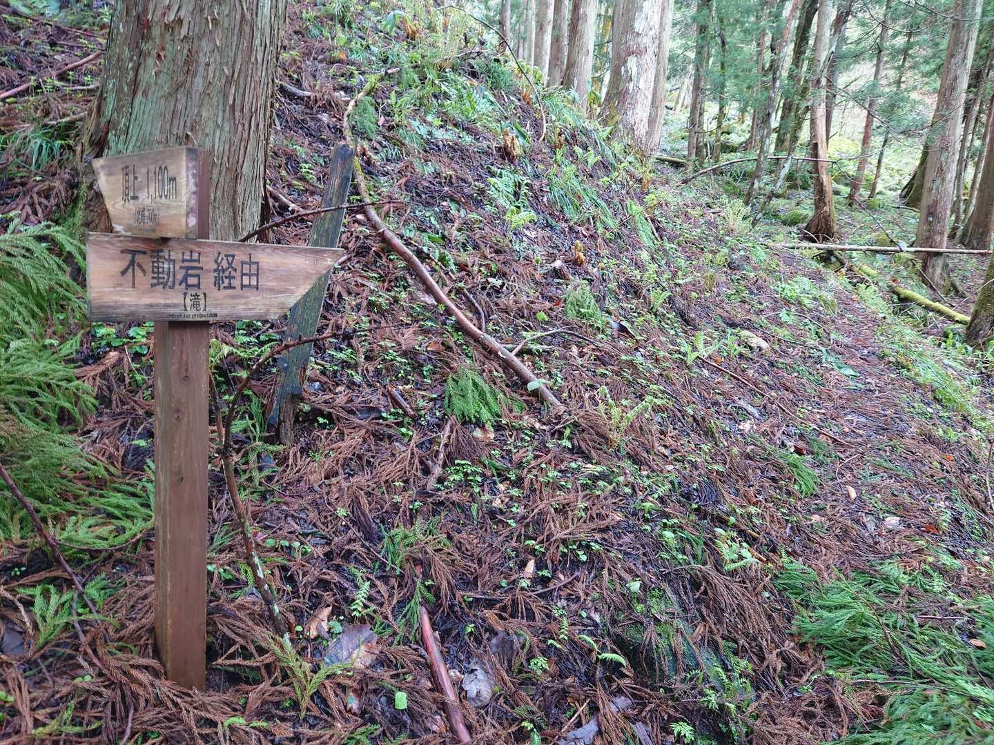 急登の前に不動岩(幻の滝)へ