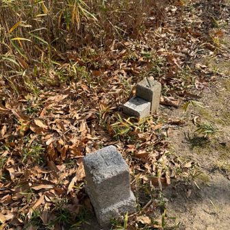 背山山頂🔺214.5ｍ
三角点です。
山名板はありませんでした。