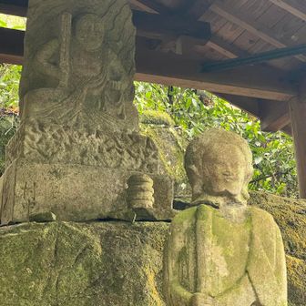 今日も楽しませていただきました🙇‍♂️