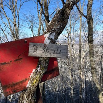 山頂からは、木の隙間から日高の立派な山々もちょっとだけ見れました😊