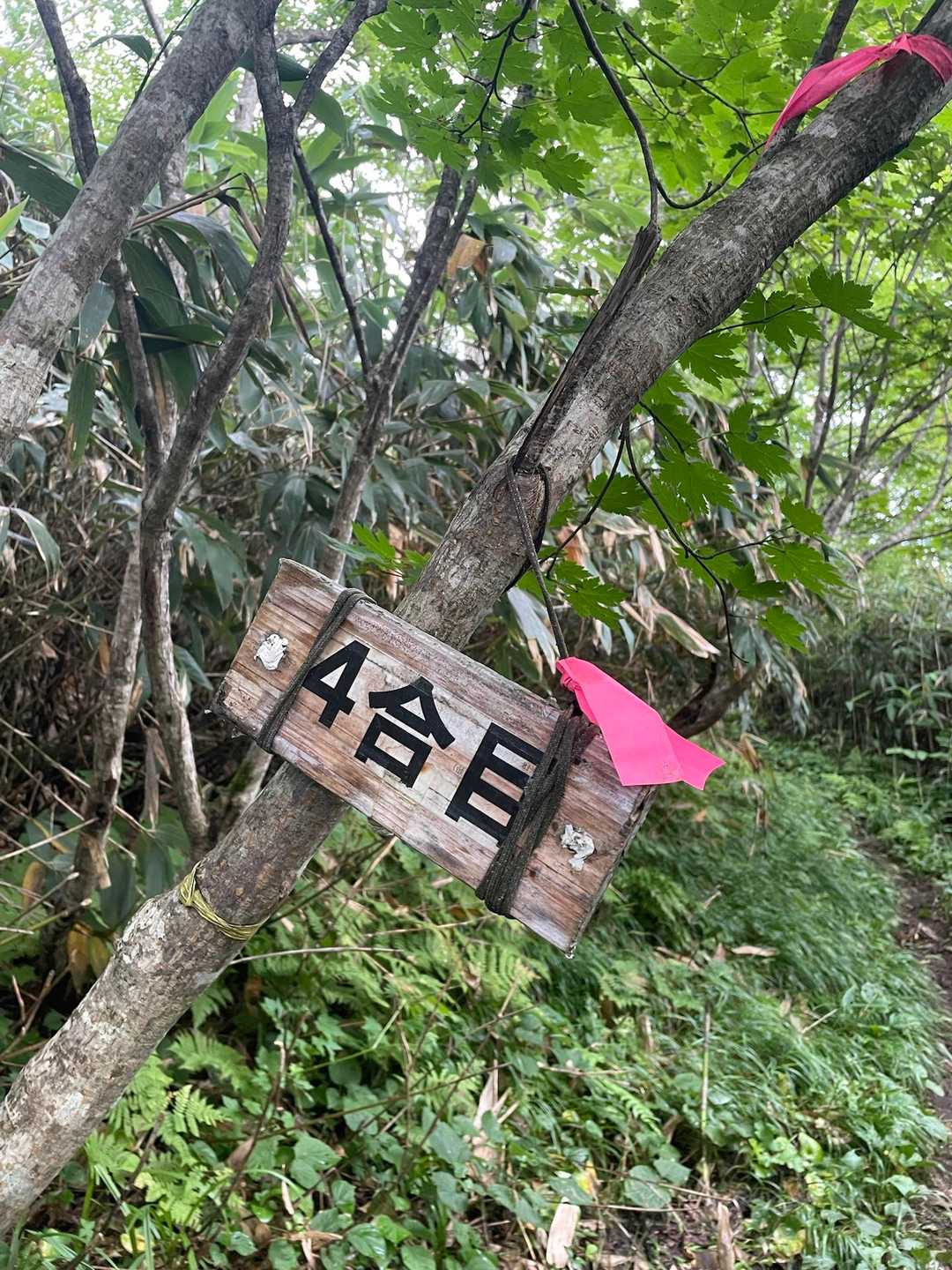 1合目まだ？と話していると
突然現れた4合目笑