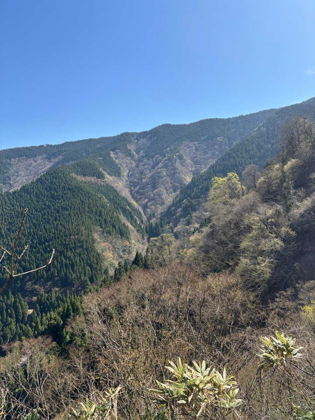 扇山-赤祖父山 往復コースの写真