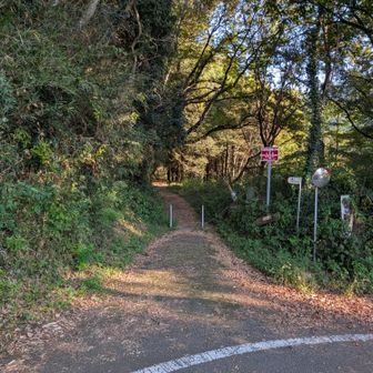 登山開始