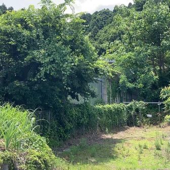 半田コース入り口…え？こんな感じ？高速道路の脇を進む