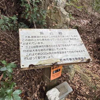 琵琶湖好き