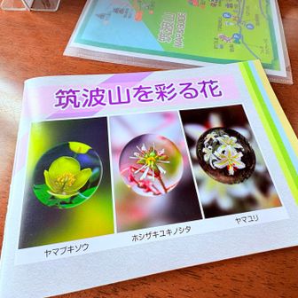 お土産に買った冊子
ロープウェイとケーブルカー運営してるところが発行してるんだね