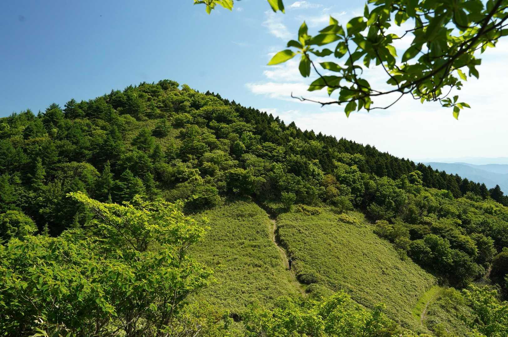 中央峰へ向かう稜線。
立ち止まって眺めます✨