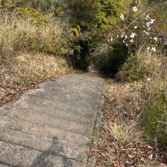 反対側にも下りてみます