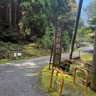 大野原森林公園