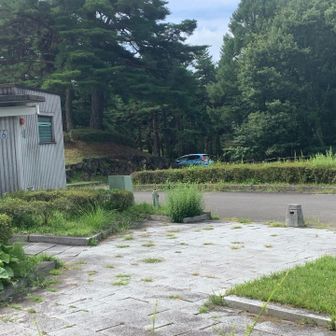 戻って来ました。