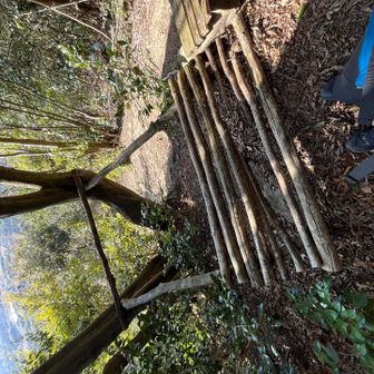 危険な🤣展望台