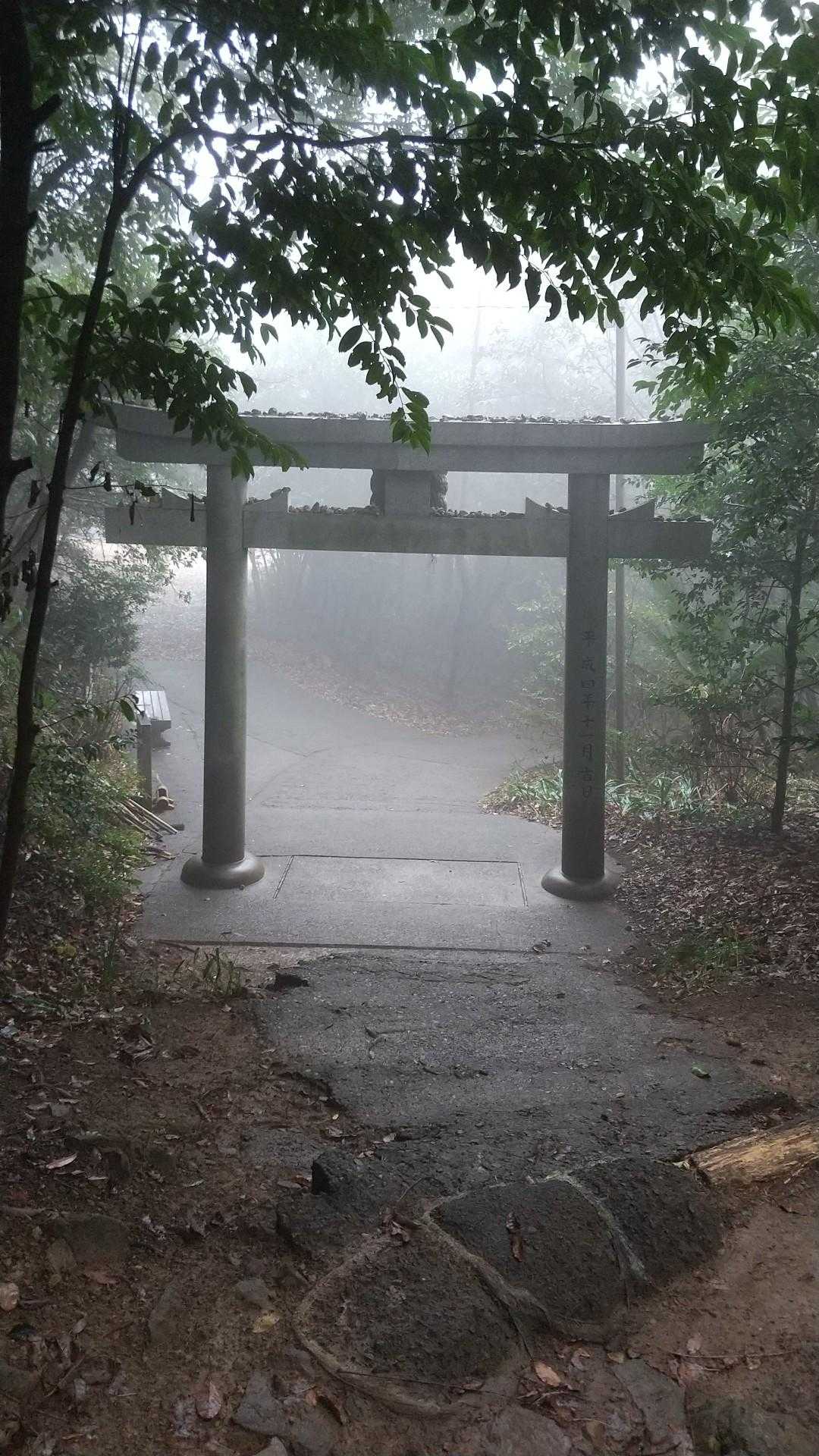 津乃峰山-陣ヶ丸 周回コースの写真