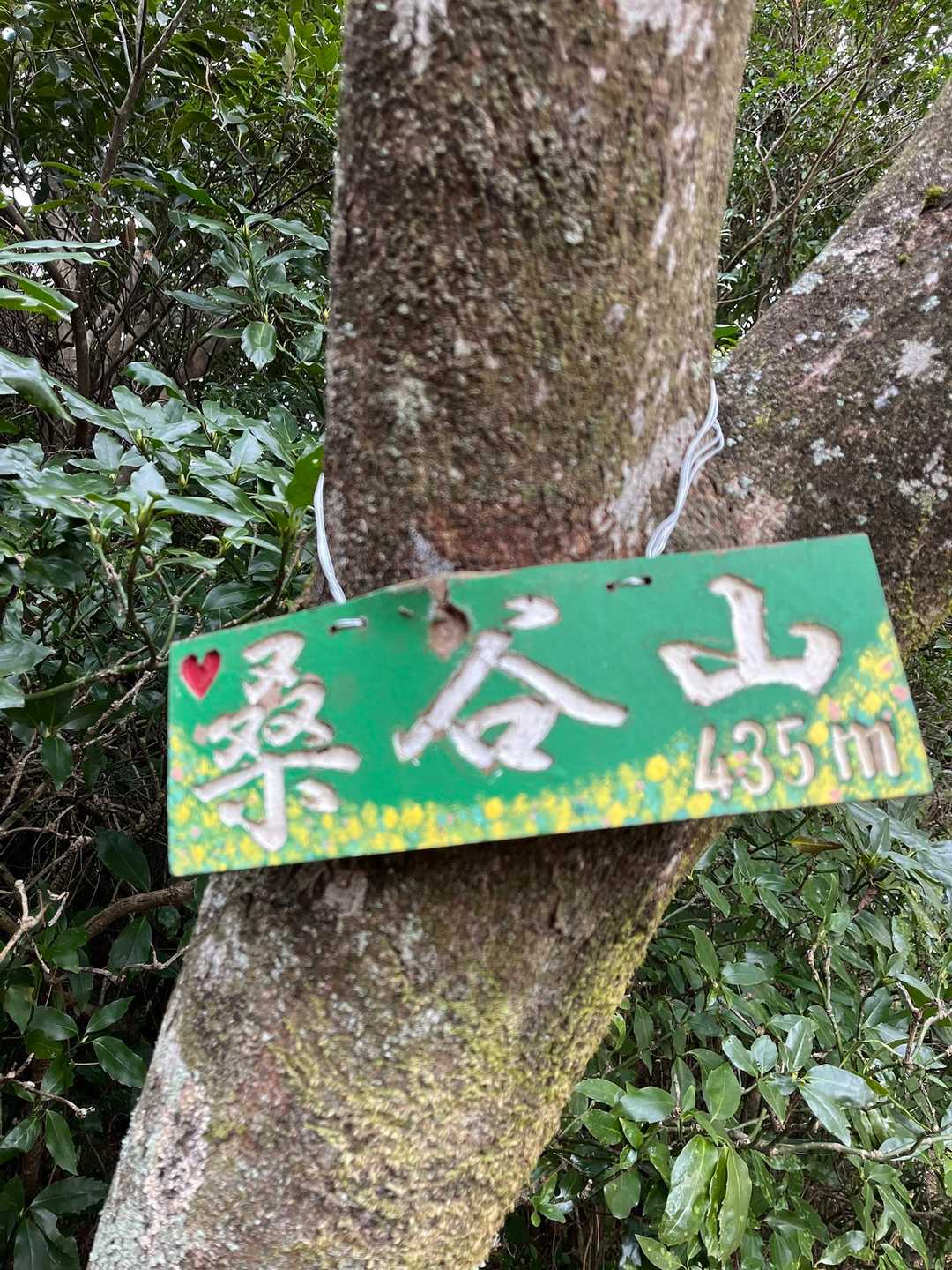 桑谷山頂⛰️到着🧐
ん❓看板、折れてないか❓