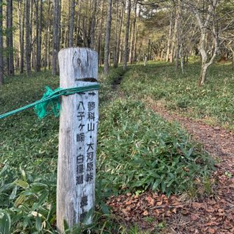 すずらん峠園駐車場を少し下ると登山口⛰️