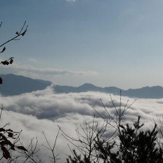 第一/第三展望台はあまり展望良くなかった