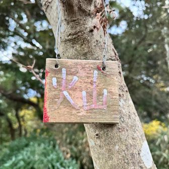 △ 火山
前の山頂標識が割れてなくなっていたのは知っていたが、キョロキョロして見つかったヤツ