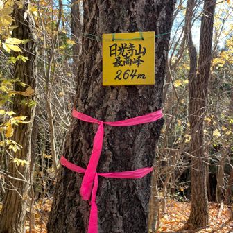 「日光寺山最高峰」🙌