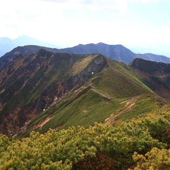 ニペソツ山とニペ耳を一緒に