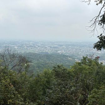 いつもの山頂からの景色