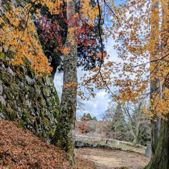 さぁ！かえろう
下山めしが待ってる
買ったおにぎりは止まると寒いのでここでは食べません