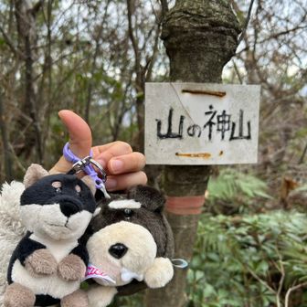 山の神山🐶