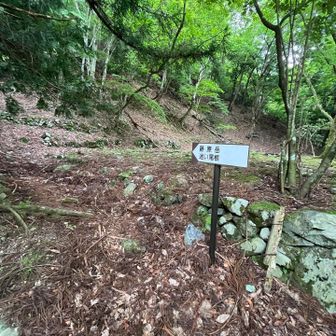 茨川廃村まで下りてきて、ここから迷い尾根へ登り返します。
この先は思いの他ピンクテープがしっかりしてるので安心です。