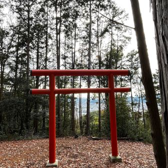 本日ラストピークの鏡山には鳥居が⛩️