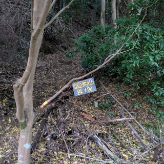 今日はここから