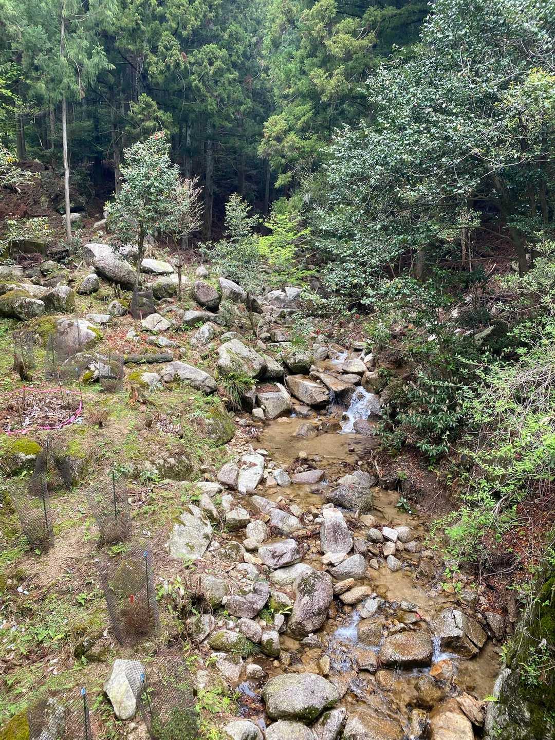 ネコ最高点-ネコ-笠岳-菰野富士 周回コースの写真