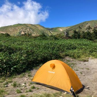 今回の山行用に新調した別荘🏕️

朝露でビショビショになった靴下を干しつつ