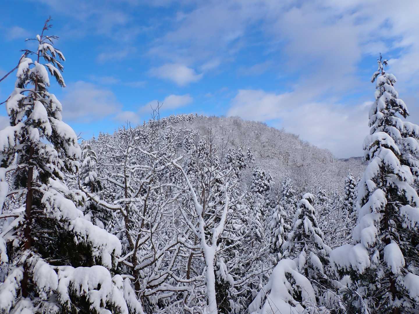 振り返って塔倉山