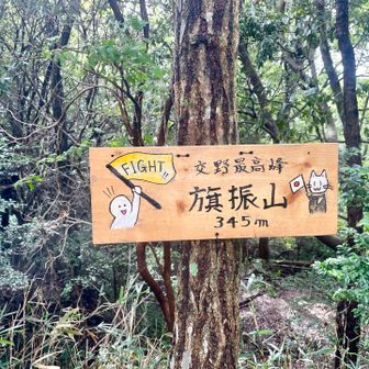 交野市で一番高い山、旗振山到着…6座目