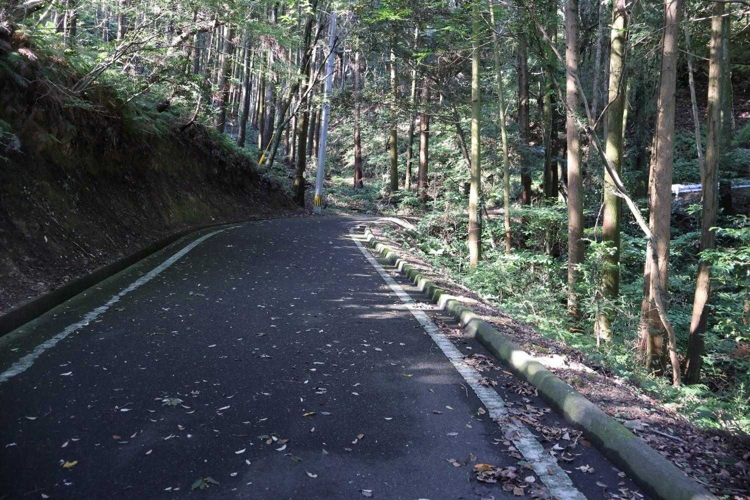 まだまだ暑いんだけど日陰も相まって歩いてるとすずしい😙