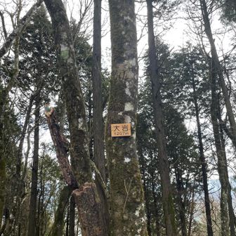 岩はないけれど大岩🪨