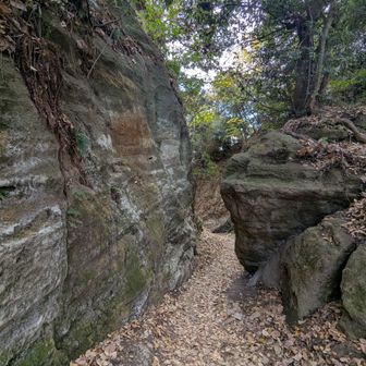 名越切通し

このあとバス通りへ下りて20分ほど歩いて鎌倉駅へ
鳩サブレ買って今日やりたかった事はコンプリート😆

いつもの先輩と今日も楽しいお山歩でした
ありがとう▲