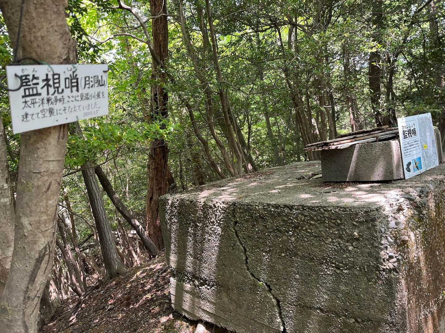 戦争時の遺物が
4ピーク😆