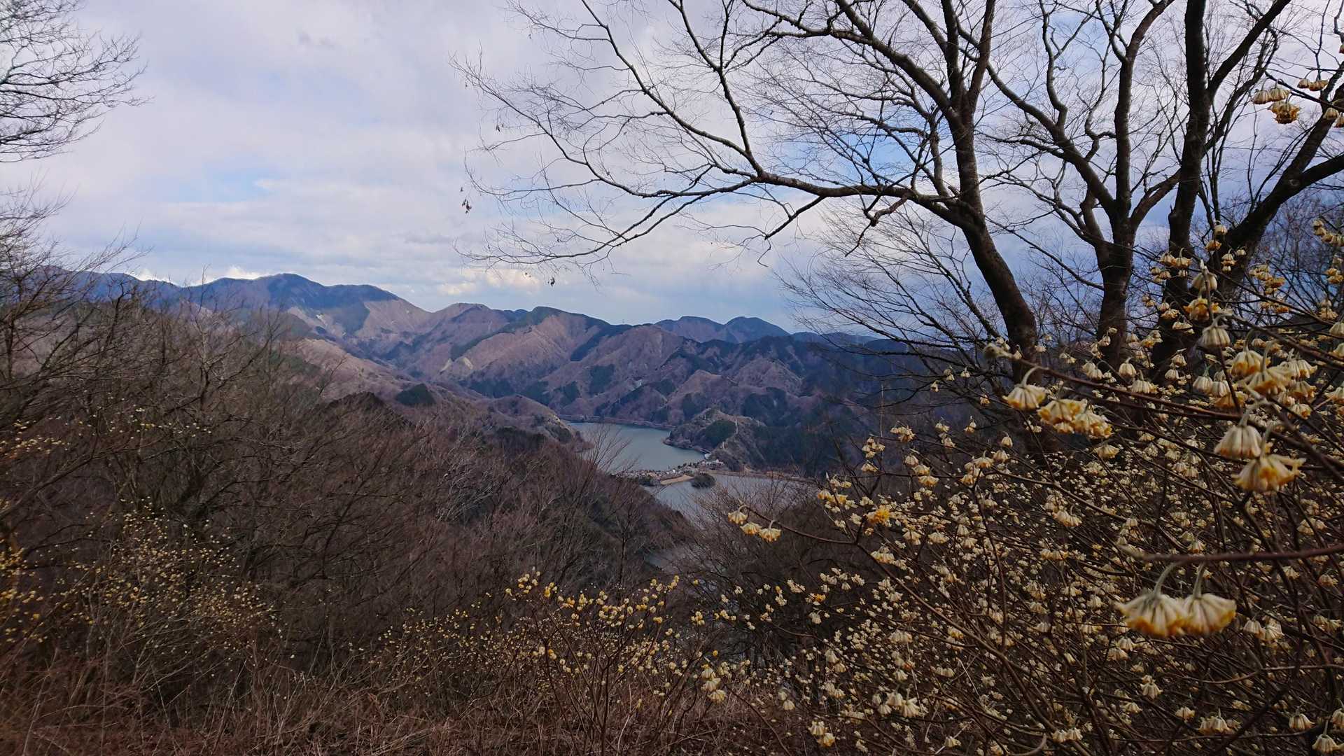 丹沢湖～