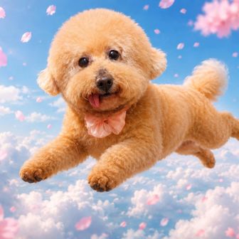 ももこ