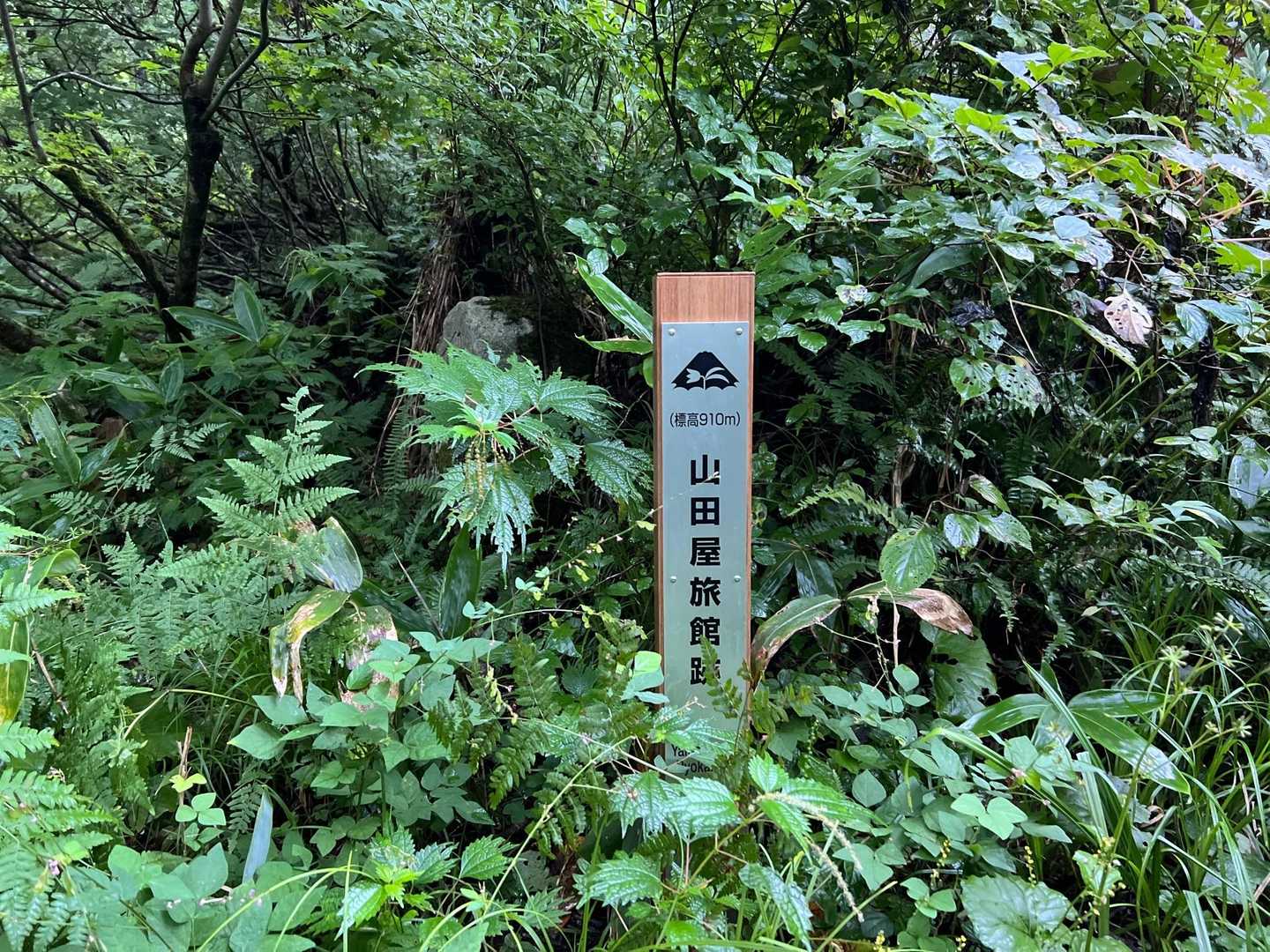 山田屋旅館跡！
どんな旅館だったんだろー😳