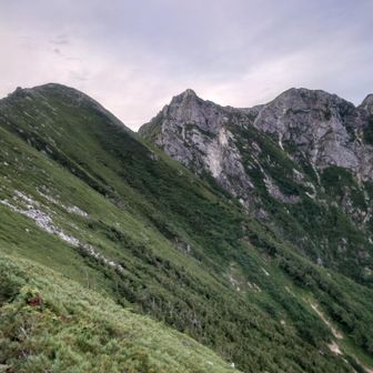不帰嶮の難所と言っても実質Ⅰ峰〜Ⅱ峰北峰までなので少し物足りない