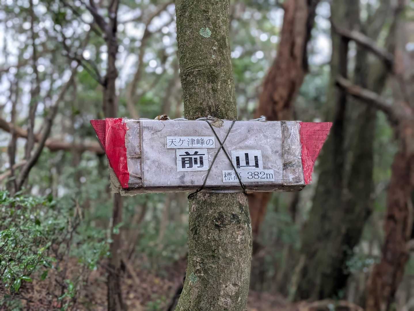 ⛰️前山 山頂　382m
この地点ではかなりの土砂降りでした☔️