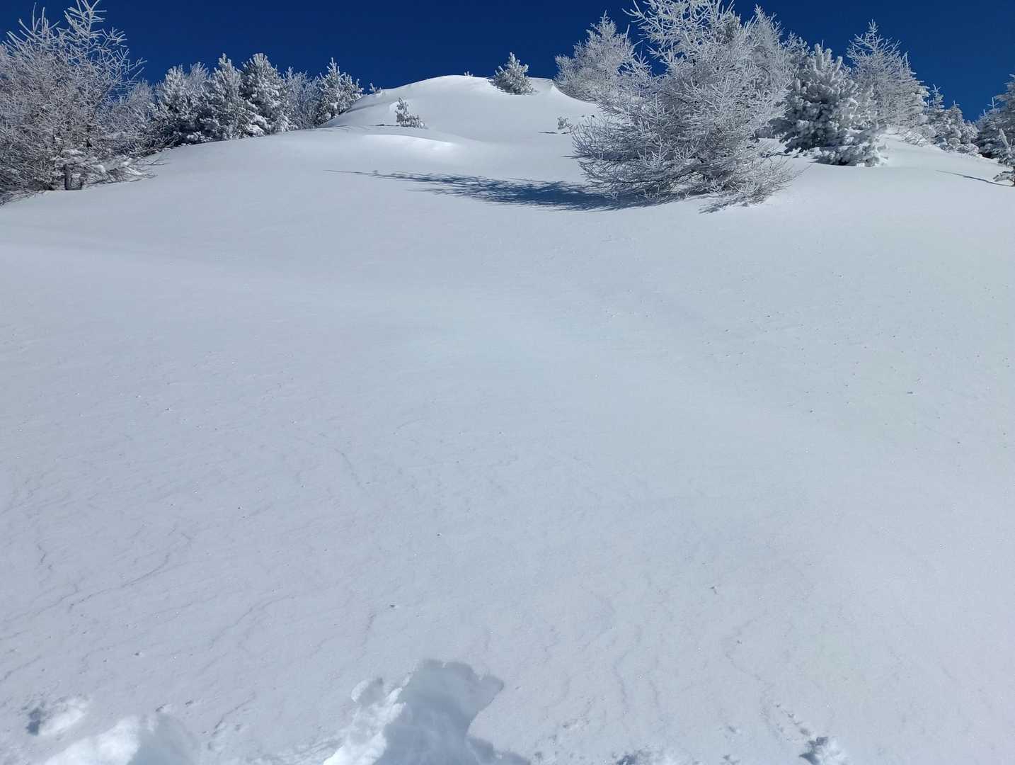 菅平牧場料金所-菅平牧場-四阿山登山口-小四阿-中四阿 往復コースの写真