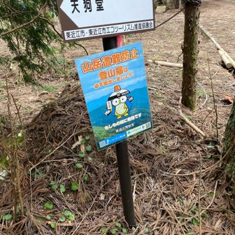 岩尾谷登山口まで降りてきました。
急登でした。
我々を追い越していかれたお兄さん、進んだ道が違ってたけど大丈夫だったかな。