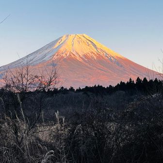 夕日☀️に照らされる分富士山も最高😃