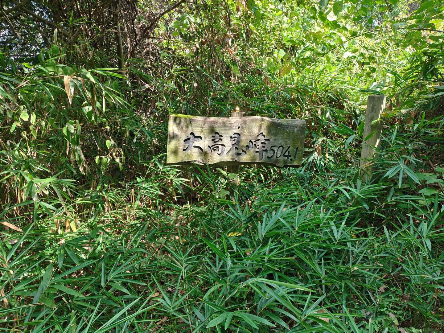 大高見峰 往復コースの写真