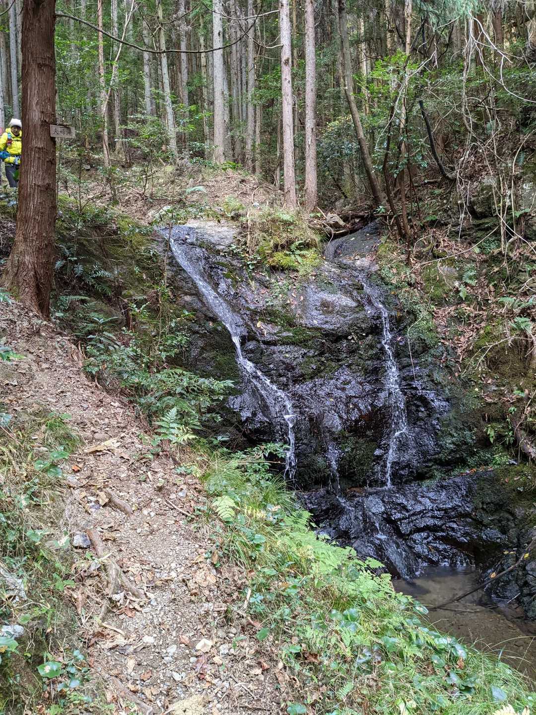 誕生山 周回コースの写真