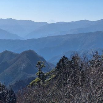 富士山も見えました
真ん中にうっす～ら…(笑)

昨日は富士山の奥側にいましたよ🤭