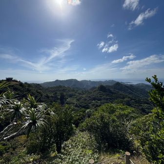 山頂からの展望。